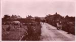 Lower Acol Hill  c.1910